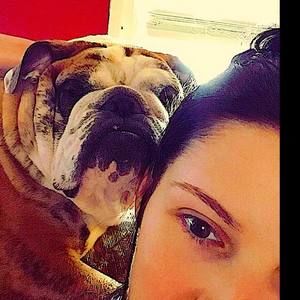 Meet your Posher, Morgan